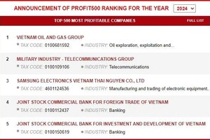 A screenshot of the rankings published on the website profit500.vn.