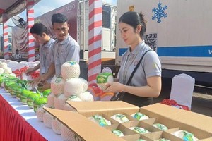 The first batch of fresh coconuts from the Mekong Delta province of Tien Giang has been successfully exported to China. (Photo: SGGP)