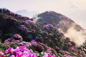 The first Putaleng Festival under the theme “Coming to the land of rhododendrons” will be held in Tam Duong Town of Tam Duong District in the northern province of Lai Chau on October 22-24.