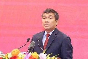 Permanent Deputy Minister of Foreign Affairs Nguyen Minh Vu. (Photo: VN