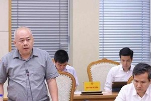 Deputy Minister of Planning and Investment Do Thanh Trung (Photo: VNA)