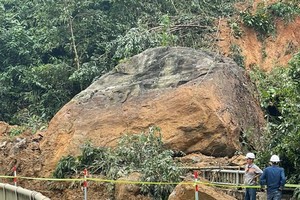 Quang Nam urgently evacuates hundreds of people due to landslides