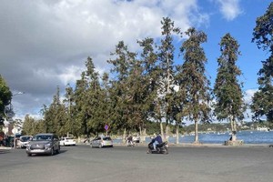 Vehicles with 29 or more seats will be banned on streets around Xuan Huong Lake in Da Lat City on December 1-31 to ensure safety for the 10th Da Lat Flower Festival. (Photo: KK)