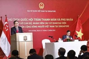 National Assembly (NA) Chairman Tran Thanh Man speaks at the meeting with representatives of the Vietnamese community in Singapore on December 1. (Photo: VNA)