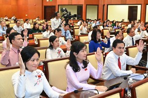 Delegates passe financial assistance to boost HCMC's birthrate at the 20th conference session of the 10th Ho Chi Minh City People's Council. (Photo: SGGP)