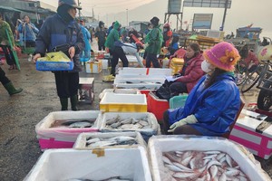 On the last day of the lunar year, the hustling and bustling shopping atmosphere was recorded at the seafood market at the Cua Sot Fishing Port. (Photo: SGGP)