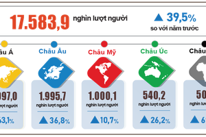 Vietnam receives nearly 17.6 million int’l visitors in 2024