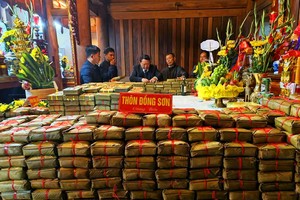 Chung cakes of Dong Son Hamlet are offered to King Mai Hac De. (Photo: SGGP)