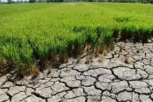 Prime Minister Pham Minh Chinh asks for proactive measures against peak salinity intrusion in the Mekong Delta region and Ho Chi Minh City. (Photo: SGGP)