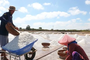 A salt field in Bac Lieu Province (Photo: SGGP)