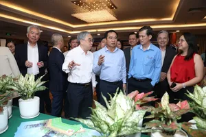 HCMC’s government concerns about businesses’ difficulties