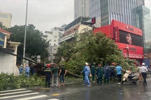 HCMC implements emergency response plan for typhoon Yagi in September 2024. (Photo: SGGP)