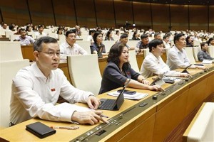 Deputies vote to approve the NA Resolution on the reorganization of provincial-level administrative units in 2025 (Photo: VNA)
