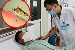 Prime Minister Pham Minh Chinh urges strengthened nationwide efforts to prevent and control dengue fever amid rising infections. (Photo: SGGP)