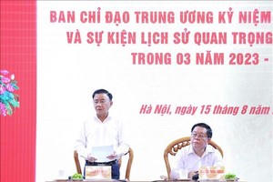 Politburo member, Permanent member of the Secretariat and head of the Steering Committee Tran Cam Tu chairs the meeting. (Photo: VNA)