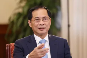 Deputy Prime Minister and Minister of Foreign Affairs Bui Thanh Son