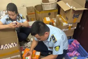 The Market Surveillance Authorities inspects a pharmaceutical warehouse suspected of violations. (Photo: SGGP)