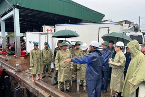 Inspection delegation reviews vessel anchorage at Tinh Hoa Fishing Port. (Photo: SGGP)