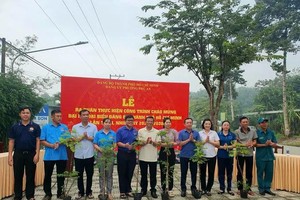 Phu An Ward launches cleanup and tree-planting drive to promote a green, clean, and beautiful environment.