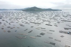Xuan Dai Bay, the largest lobster-farming hub in Central Vietnam, in Dak Lak Province