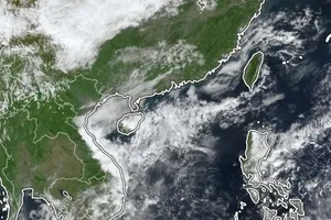 Satellite Image at 10:00 a.m., November 23