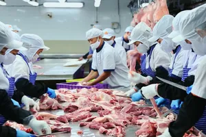 Dây chuyền sản xuất tại Công ty CP Việt Nam kỹ nghệ súc sản (VISSAN)