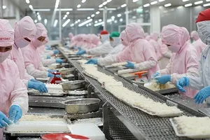 Chế biến tôm đông lạnh xuất khẩu tại Công ty Cofidec, TPHCM