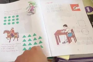 TPHCM đã dừng triển khai chương trình Công nghệ giáo dục từ nhiều năm trước