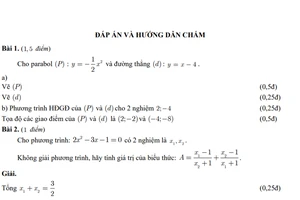 TPHCM: Công bố đáp án các môn thi tuyển sinh lớp 10 năm học 2019-2020