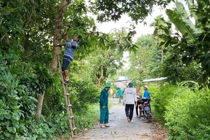 Người dân Lai Vung dọn đường sá đón ông Bảy trở về