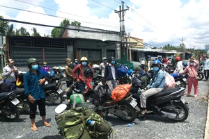 Trà Vinh lên kế hoạch đón thai phụ về quê