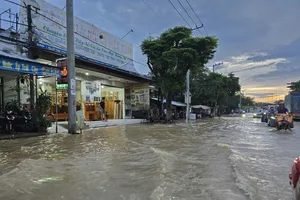 Vĩnh Long đề xuất nhiều giải pháp chống ngập do triều cường