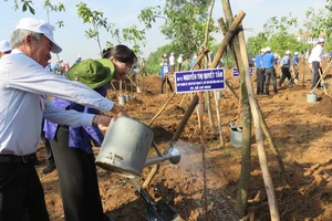 Đồng chí Nguyễn Thị Quyết Tâm tham gia trồng cây 