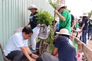 Nhân viên CEP cùng người dân trồng cây xanh trên tuyến đường Bình Long