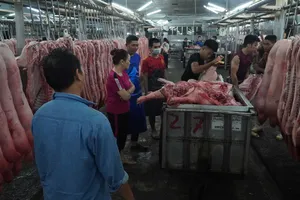 Tết Bính Ngọ 2026: Chủ động nguồn cung thịt heo