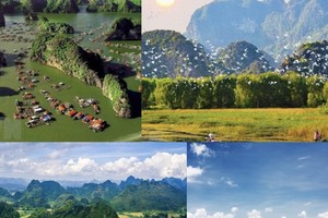 主动防控环境污染现象。