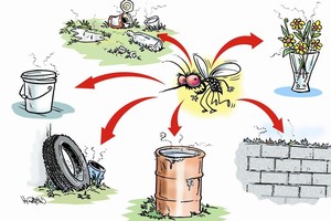 主动清除不必要的积水容器是预防登革热的有效措施。