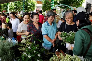 居民响应种植盆栽以绿化环境。