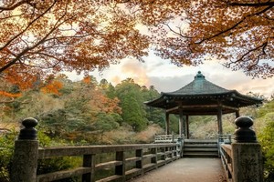 日本是越南游客喜爱重返的国家之一。