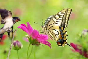 我已经够幸运了！