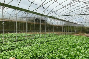 以永续发展酒店为目标