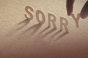 朋友，对不起！(二)