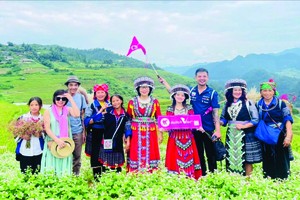 由越南旅游媒体股份公司组织的本市旅游团在9月底到西北区域观光。