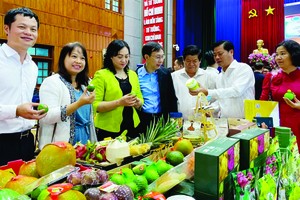 隆安省的数百种产品可通过电商平台销售和追溯原产地。