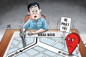 虚假申报 后果自负