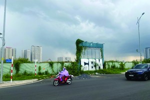 在守德市的14.8公顷土地曾悬挂为联排别墅区项目的广告牌。