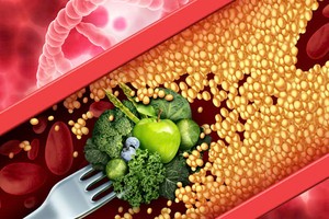 血管乃至血液是可以“返老还童”。