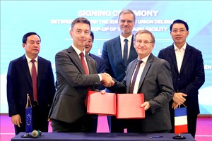 发展整合并可承受气候变化能力都市