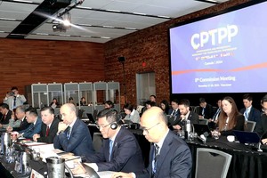 越南加强与加拿大和新加坡在 CPTPP 框架内的关系