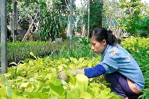 使用有机化肥可确保消费者健康。